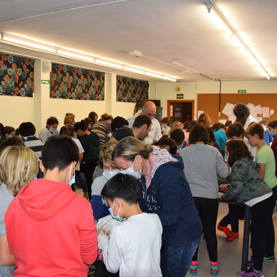 2016_12_02_Diseccion de corazon y pulmones_Sexto 15