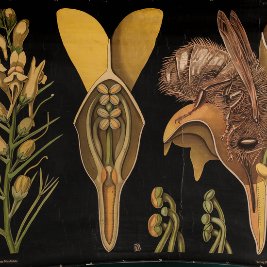 IES_LOPEDEVEGA_CIENCIASNATURALES_053