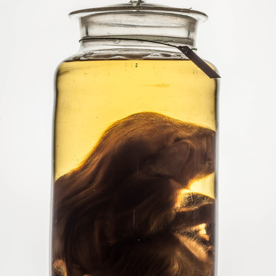 IES_CARDENALCISNEROS_CIENCIASNATURALES_298