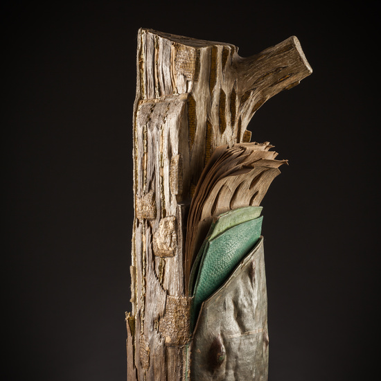 IES_SANISIDRO_BIOLOGIA_212