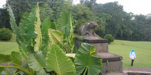 Vista general del Jardín botánico, Java, Indonesia