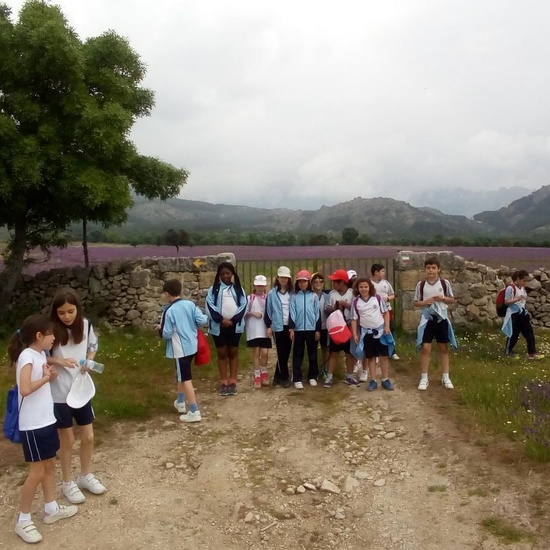 Camino de Santiago 24