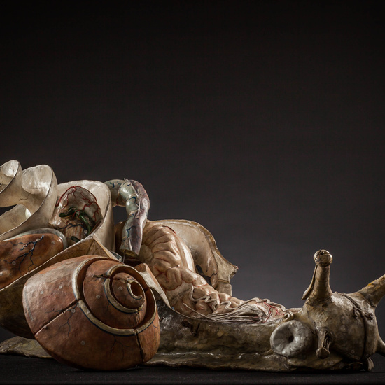 IES_CARDENALCISNEROS_ZOOLOGIA_II_MODELOS_008