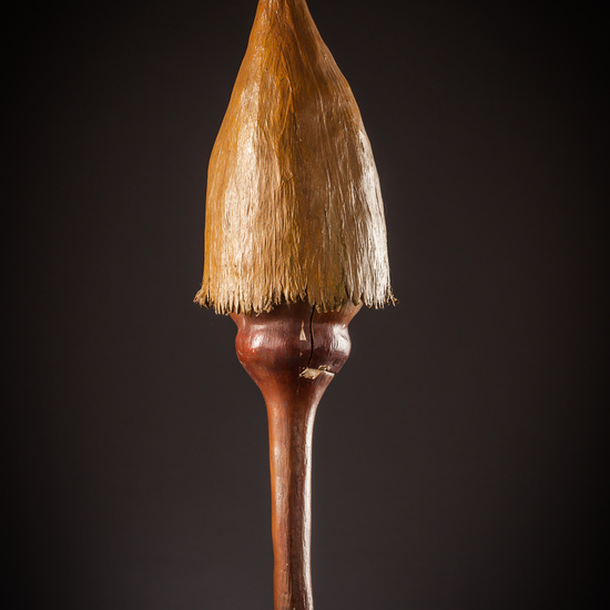 IES_SANISIDRO_BIOLOGIA_266