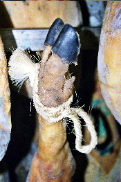 Pezuña del jamón