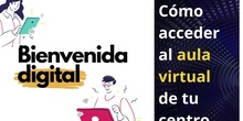 CÓMO ACCEDER AL AULA VIRTUAL