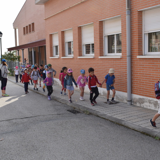 Siembra Huerta Balta 5 años 2018 2