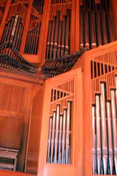 órgano