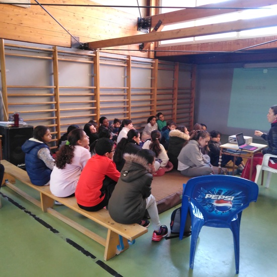 Gimnasia de trampolín 3 15