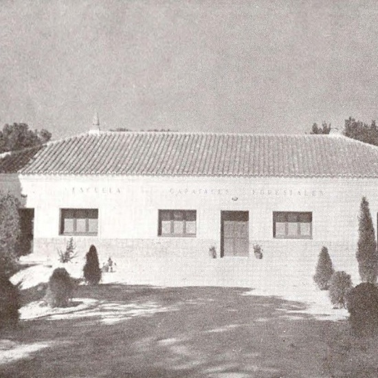 Carrusel fotos web 4