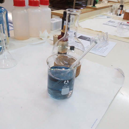 20191204_Árbol de Navidad 2