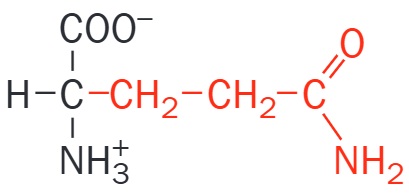 Glutamato
