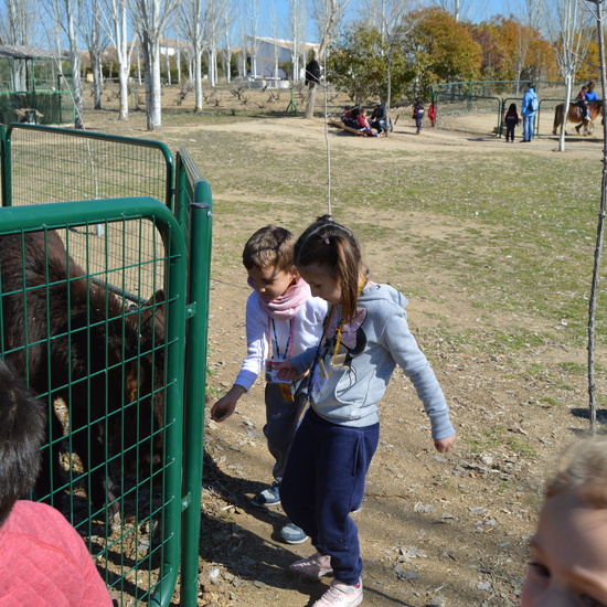 GRANJA ESCUELA ALBITANA 2018 38