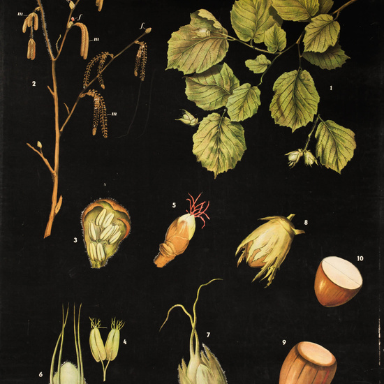 IES_LOPEDEVEGA_CIENCIASNATURALES_042