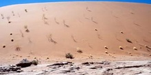 Vegetación sobre duna, Namibia