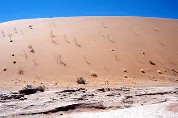 Vegetación sobre duna, Namibia
