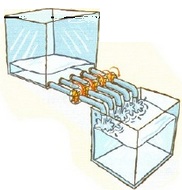 Water pipes in parallel