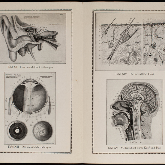 IES_CARDENALCISNEROS_CATALOGOS_113