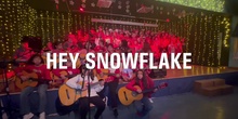 Hey Snowflake