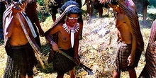 Mujeres colocando rocas calientes en horno, Irian Jaya, Indonesi