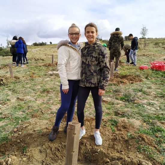 Plantación en el parque forestal de Valdebebas 2019 6