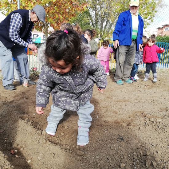 Huerto escolar 2019/20 36
