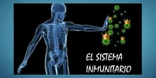 El sistema inmunitario