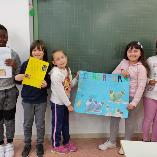 Fotos trabajos de Ciencias Naturales 4