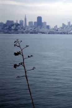 Paisaje costero, Estados Unidos