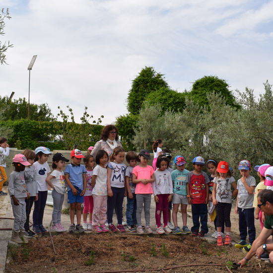 Siembra Huerta Balta 5 años 2018 16