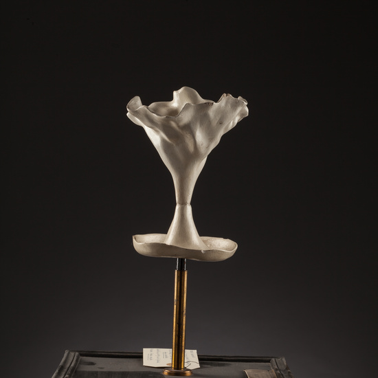 IES_SANISIDRO_BIOLOGIA_164