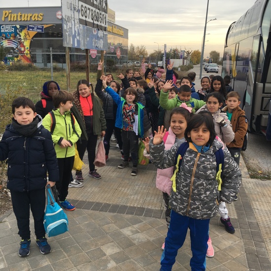 3º de Primaria visita el Verical Park 6