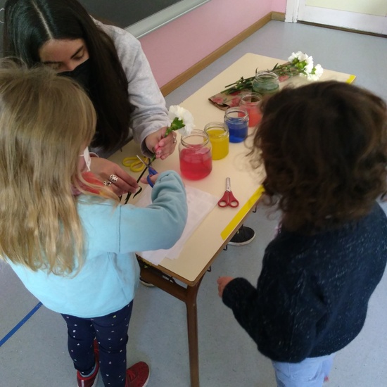 JORNADAS TEMÁTICAS 2021 