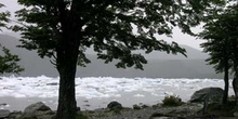 Lago Onelli, Argentina