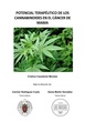 POTENCIAL TERAPÉUTICO DE LOS CANNABINOIDES EN EL CÁNCER DE MAMA