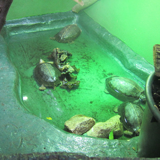 Granja Escuela Educación Infantil Curso 2017-18 20