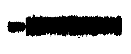 Entrevista a la nueva directora del Centro