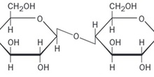 Celobiosa