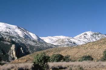Pico del águila nevado, Huesca