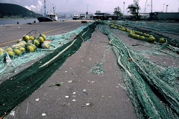 Puerto pesquero de Avilés, Principado de Asturias