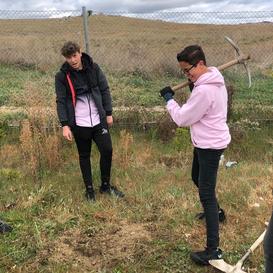 Visita holandeses extra 6