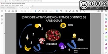 Video área 5 actividades alimentación