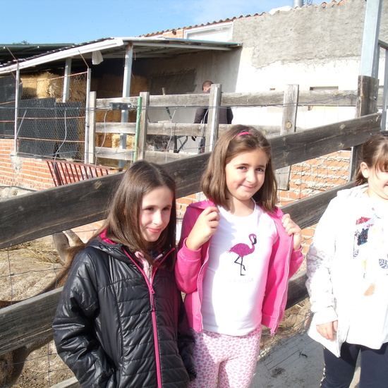 NOCHE MÁGICA 2019 (3ª parte) 24