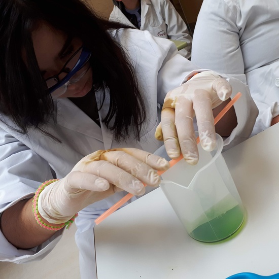 El cole en imágenes 3