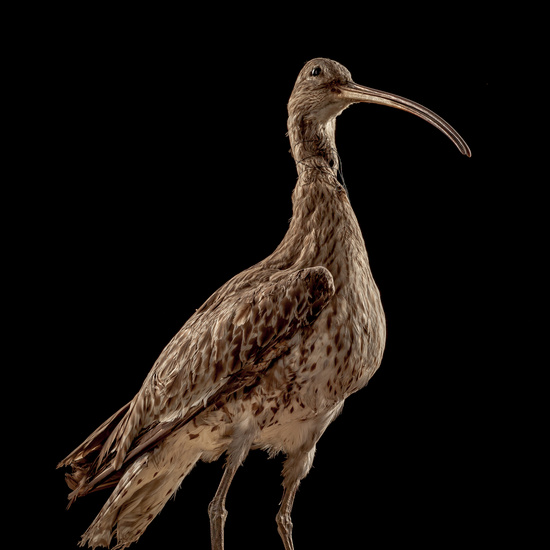 IES_SANISIDRO_BIOLOGIA_046