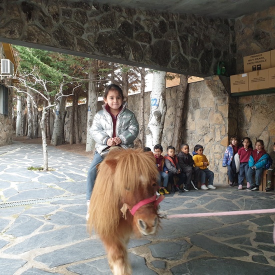 Excursión a la granja (Infantil) 4