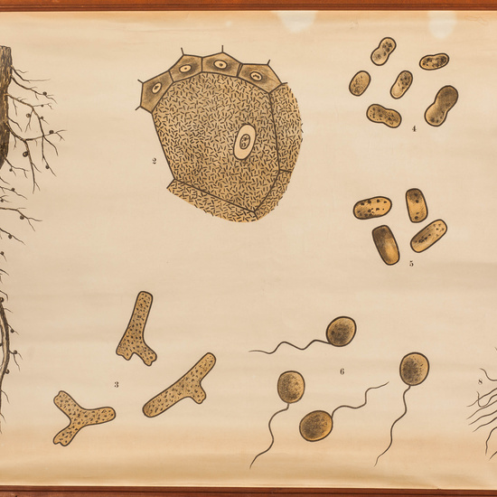 IES_SANISIDRO_LAMINAS_011