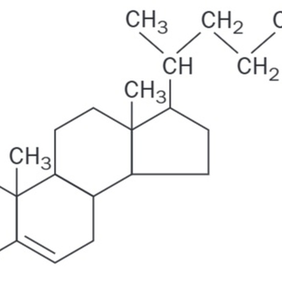 Colesterol