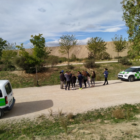 Plantación en el parque forestal de Valdebebas 2019 13