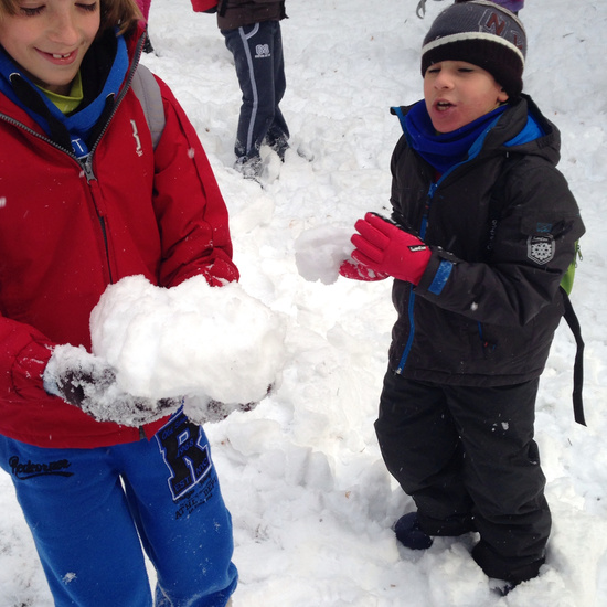 Valle de la Fuenfría 5